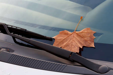 Car windshield with autumn leavesの写真素材