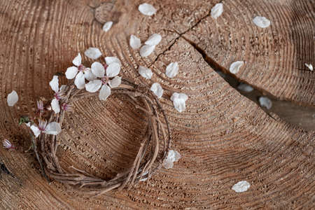 Spring still life with first flowers.の写真素材