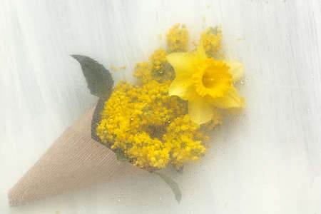 Spring still life with magonia flowers and narcissus