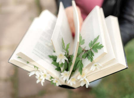 Abstract image of a book. literary concept