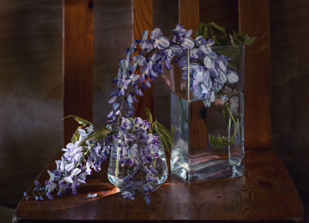 Spring still life with blooming wisteriaの写真素材