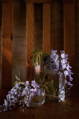 Spring still life with blooming wisteriaの写真素材