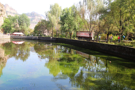 Landscape view of a park in bridgeの写真素材