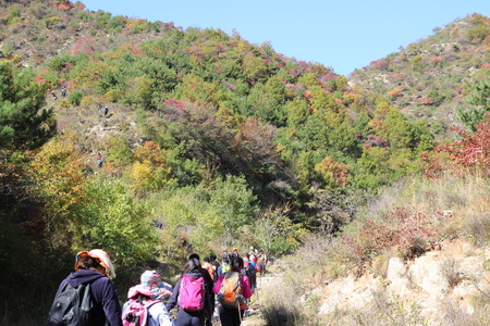 Hikingのeditorial素材