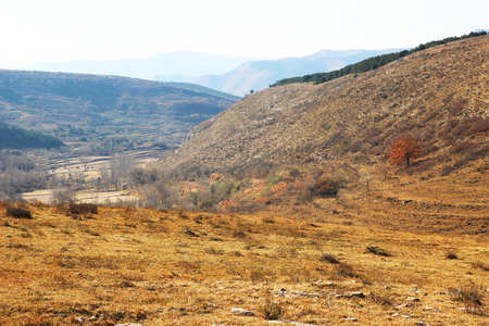 Mountain viewの写真素材