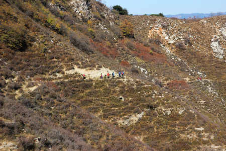 Mountain slopeの写真素材