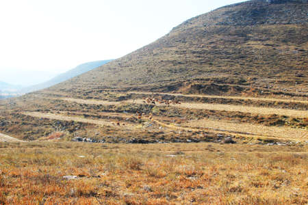 Hilly areasの写真素材