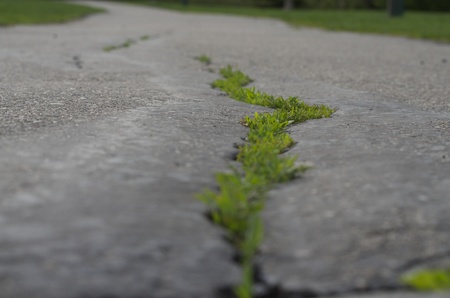 a paved walking trail with a close up of the pavement and grass growing through the cracks and the trail blurred in the distanceの写真素材