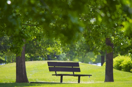 Blurred leaves on the top view with two trees on each of a brown bark bench. A slit hill in the background with the sun shinning down.の写真素材