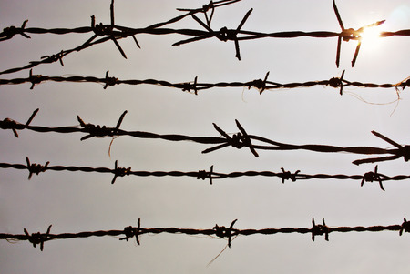 The barbed wire with gray sky.の写真素材