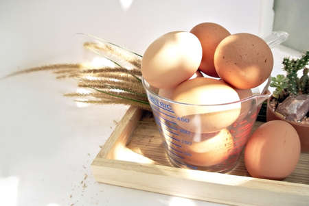 Eggs in measuring cup wooden box grass with sunlight on white backgroundの写真素材