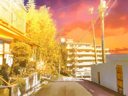 Suburban residential area in the eveningの写真素材