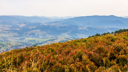 Mountain View. Early autumn. Ukraine.の写真素材