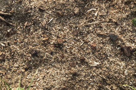 soil, sand, textureの写真素材