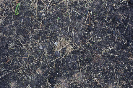 texture of the soilの写真素材