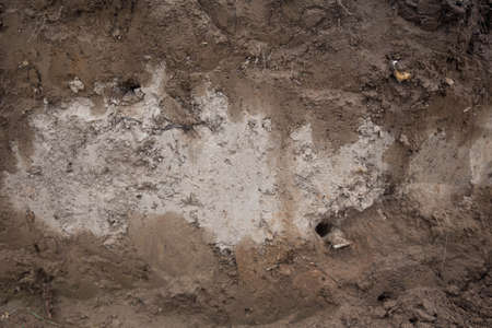 texture of sand, soil