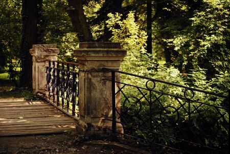 bridge at the parkの写真素材