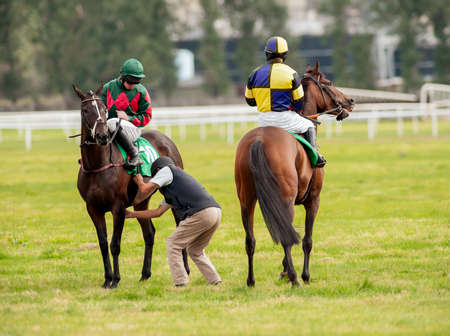 checking race horse saddleのeditorial素材