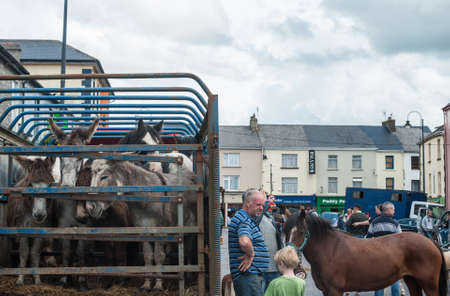 Listowel, Ireland - 2nd July 2015: Man with his horse beside trailer of donkeys on streets of Listowel during the Horse fair.のeditorial素材
