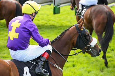 Race horse and jockey near the start gateのeditorial素材
