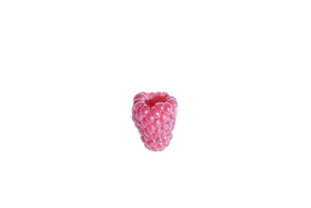 One lonely raspberry on a white backgroundの写真素材