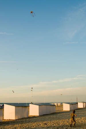 A boy playing with his kite on the beachの写真素材