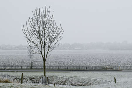 winter sceneの写真素材
