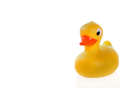 image of a cute rubber duck on whiteの写真素材