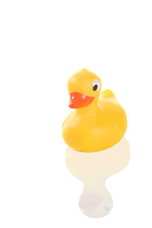 image of a cute rubber duck on whiteの写真素材