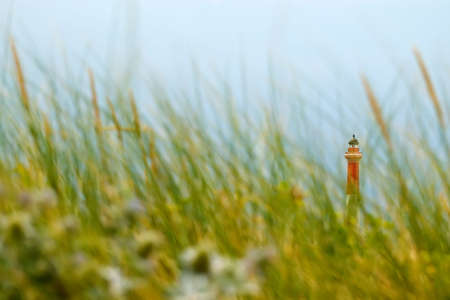 A red and white Lighthouse behind green grassの写真素材