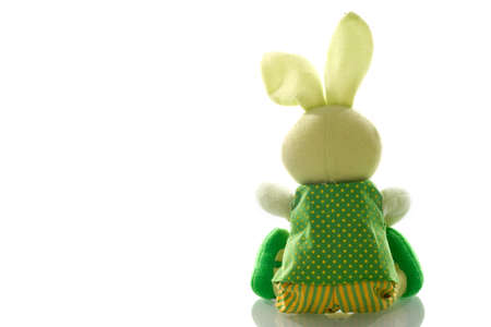 an easter bunny on whiteの写真素材