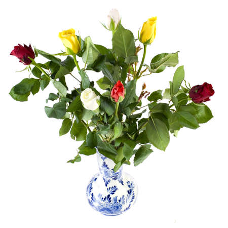 beautiful tulips in a vaseの写真素材