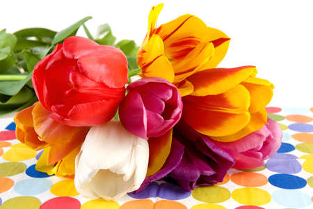 beautiful tulips on a dotted backgroundの写真素材