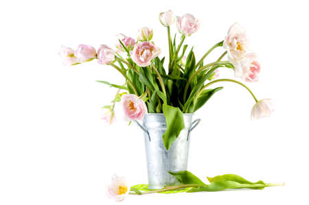 beautiful tulips in a vaseの写真素材