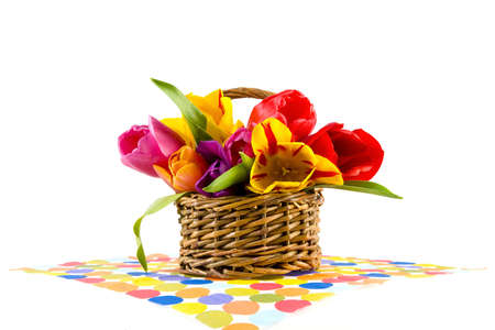 beautiful tulips in a basketの写真素材