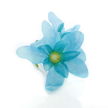 a blue silk flowerの写真素材
