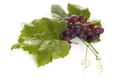 grapes with a leafの写真素材