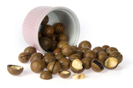 a lot of macadamia nuts on whiteの写真素材
