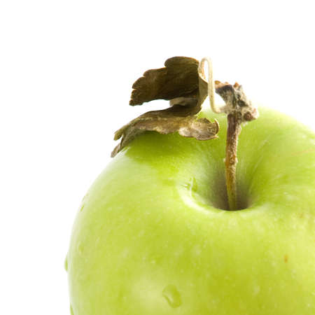 a closeup of a green apple on a white backgroundの写真素材
