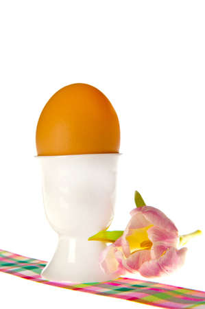 an egg and a tulipの写真素材