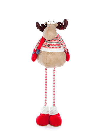 a Reindeer for Christmas on a white backgroundの写真素材