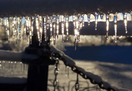Icicles shining in the sun after an icestorm.
