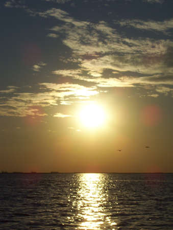 La tarde en la laguna de Coronel Baigorrio Buenos Aires Argentinaの写真素材