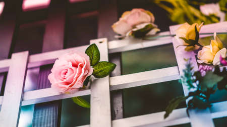 Some roses on a garden fenceの写真素材