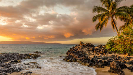 A warm tropical placeの写真素材