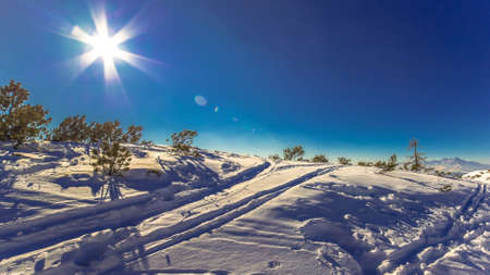 Sunny snowy landscapeの写真素材