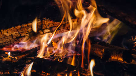 Wood fire flamesの写真素材