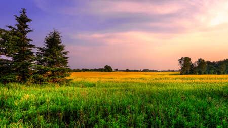 A beautiful landscpaeの写真素材