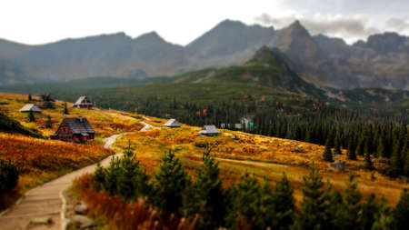 Rural focusの写真素材