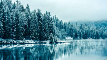 Winter lakeの写真素材